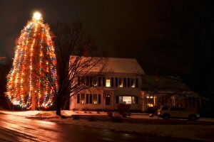 Highway View Farm - Boscawen