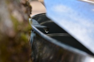 Real March Madness :)