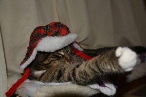 Stay Warm & Have a Great Evening!