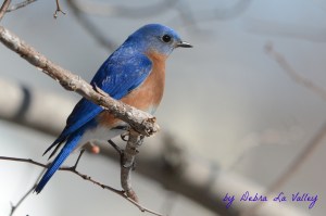 Spring is Almost Here!