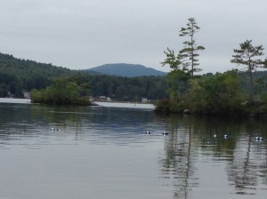 View from the Old Beach