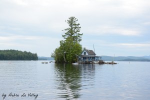 20224306112_159f0ca61c_o