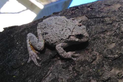 13226881_10154879363639535_6234192430462602075_n