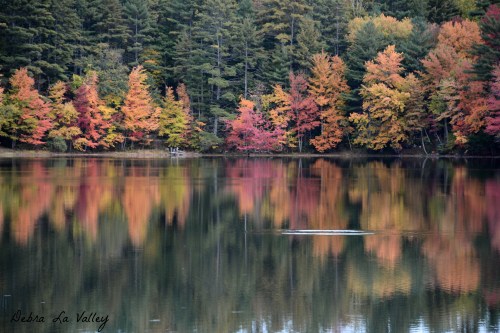 29717850563_969bab9086_o