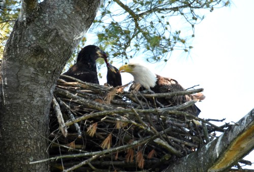 48026484546_da4cfc57f7_o